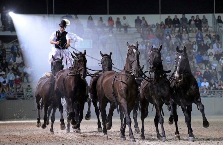 Szilvásváradon indul a lovas hétvége – EgerHírek