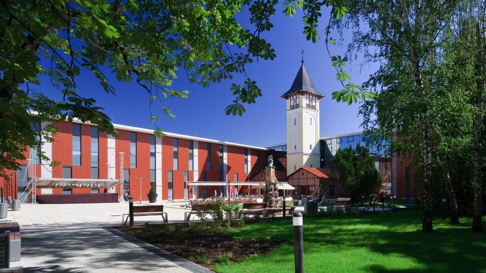 Diákalkotások az Agria Park Galériába költöznek – megnyílik az Egri Waldorf iskola kiállítása Egerben