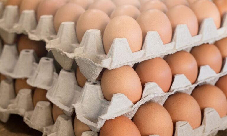 Elindul a húsvéti ellenőrzési akció