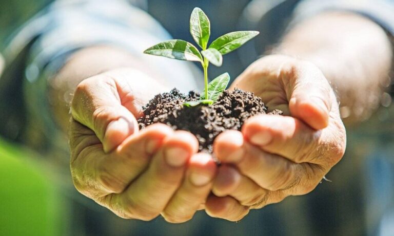 Ma van a Föld napja: mit tehetsz a bolygóért? – EgerHírek