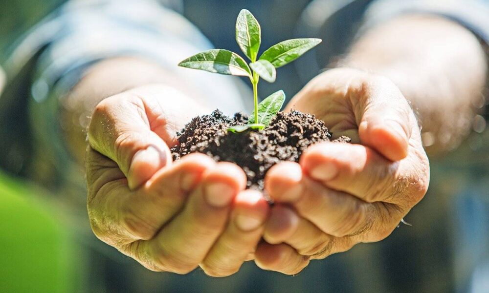 Ma van a Föld napja: mit tehetsz a bolygóért? – EgerHírek