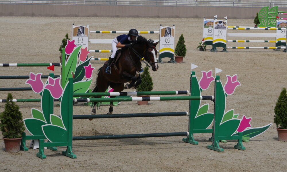 Szilvásváradon közel 200 lovas, 300 ló és 13 nemzet – érkezik a Szilvásvárad Masters Nemzetközi Díjugrató Verseny – EgerHírek