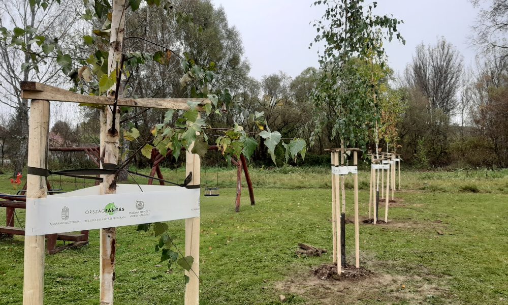 Tíz település zöldül tovább: Heves megyei fásítás folytatódik