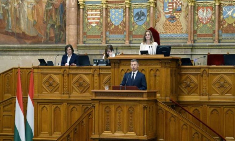 Magyar Péter: felszámoljuk a politikai és gazdasági mafiát